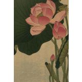 Card - Blooming Lotus by Studio Nuovo