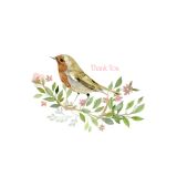 Card - Floral Bird Range - 100mm x 150mm