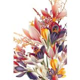 Card - Floral Bird Range - 100mm x 150mm