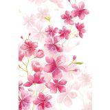 Card - Floral Bird Range - 100mm x 150mm