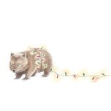 Card - Wombat Carrying Christmas Lights by Giulianna del Popolo