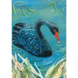 Card - Black Swan by Jody Pratt