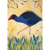 Card - Pukeko by Jody Pratt