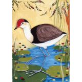 Card - Comb-crested Jacana by Jody Pratt