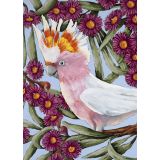 Card - Pink Cockatoo by Kate Quinn