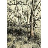 Card - Aussie Bush by Kylie Sirett