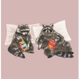 Card - Raccoons Netflix & Eating by Alissa Levy
