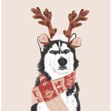 Card - Festive Husky by Alissa Levy
