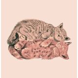 Card - Cozy Cats by Alissa Levy