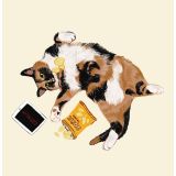 Card - Catflix & Snacks by Alissa Levy