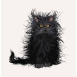 Card - A Good Hair Day by Alissa Levy