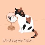 Card - Not a Day Over Fabulous by Alissa Levy