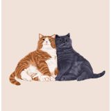 Card - Ginger & Blue Cats by Alissa Levy