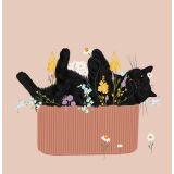 Card - A Black Cat in Flowers by Alissa Levy