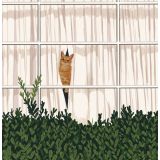 Card - Cat in a Window by Alissa Levy