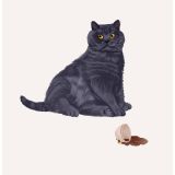 Card - Earl Grey by Alissa Levy