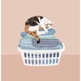 Card - Cat Napping in a Laundry Basket by Alissa Levy