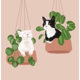 Card - Cats in Plants by Alissa Levy