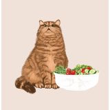 Card - Salad by Alissa Levy