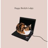 Card - Happy Birth|#+!=d@y by Alissa Levy