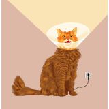 Card - Cat Cone Light by Alissa Levy