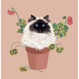 Card - Siamese Cat in a Pot by Alissa Levy