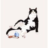 Card - Flat White by Alissa Levy