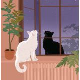 Card - Cats Stargazing by Alissa Levy