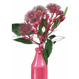 Card - Flowering Gum Vase by Lisa Chapman
