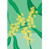 Card - Golden Wattle by Lisa Chapman