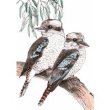 Card - Laughing Kookaburras on a Branch by Lisa Chapman