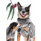 Card - Blue Heelers by Lisa Chapman