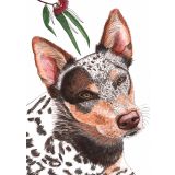 Card - Cattle Dog by Lisa Chapman