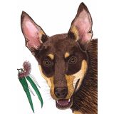 Card - Kelpie by Lisa Chapman