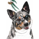 Card - Koolie by Lisa Chapman