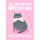 Card - You Are Mildly Irritating, Happy Valentine's Day by Lucy Maggie Designs
