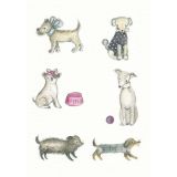 Card - Dogs by Michelle Pleasance 