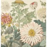 Card - Botanical Garden by Nuovo Group