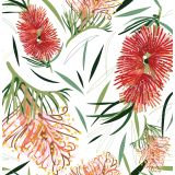 Card - Bottle Brush & Pink Grevilleas by Robyn Hammond