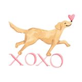 Card - XOXO by Sabina Fenn