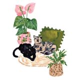 Card - Two Cats by Sabina Fenn
