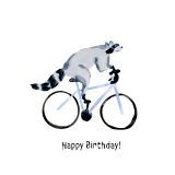 Card - Birthday Raccoon on a Bike by Sabina fenn