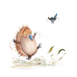 Card - Echidna & Bird Playing by Shaney Hyde