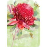 Card -  Waratah on Green by Shaney Hyde