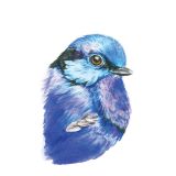 Card - Blue Bird by Tog & Pini