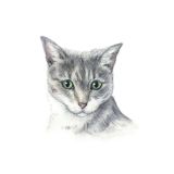 Card - Grey Cat by Tog & Pini