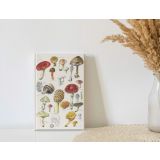 Journal - Lined Mushroom Edit by Anna Pignataro