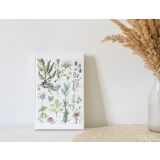 Journal - Lined Herbs & Flowers Edit by Anna Pignataro