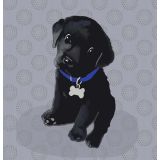 Card - Labrador by Little Bear