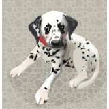 Card - Dalmatian by Little Bear